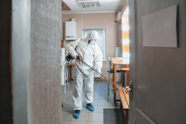Best Real Estate Mold Inspection  in Riverside, IA