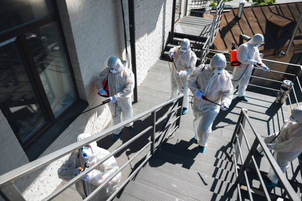 Best Water Damage & Mold Remediation  in Riverside, IA