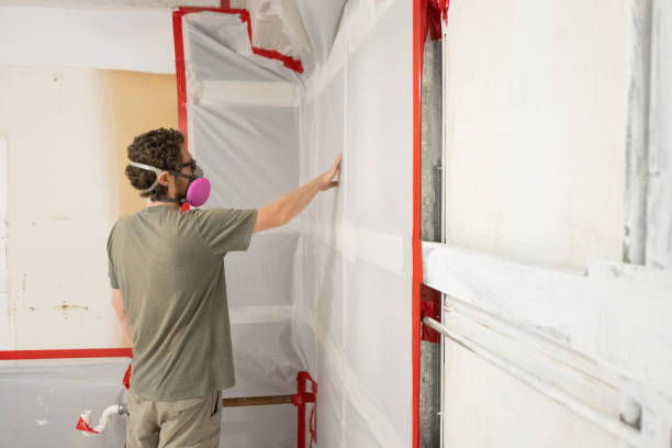  Riverside, IA Mold Removal Pros