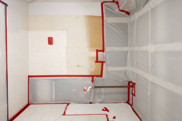 Best Mold Remediation for Healthcare Facilities  in Riverside, IA