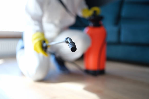 Best Mold Damage Restoration  in Riverside, IA