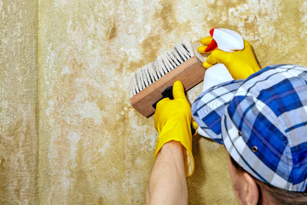 Best Forensic Mold Investigation  in Riverside, IA
