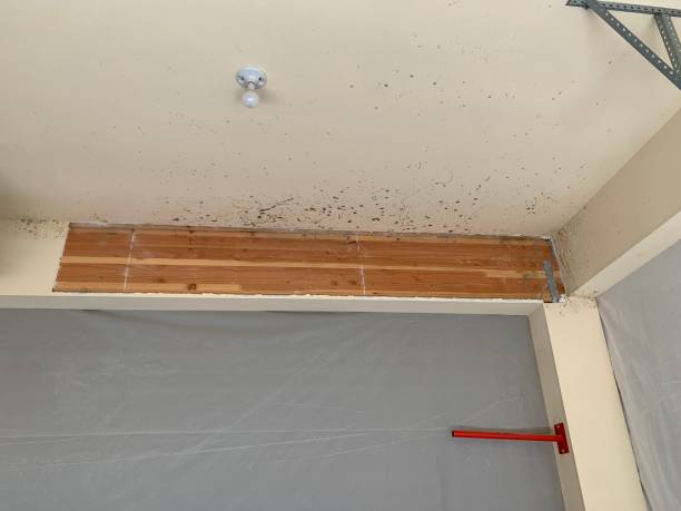 Best Post-Remediation Verification Testing  in Riverside, IA